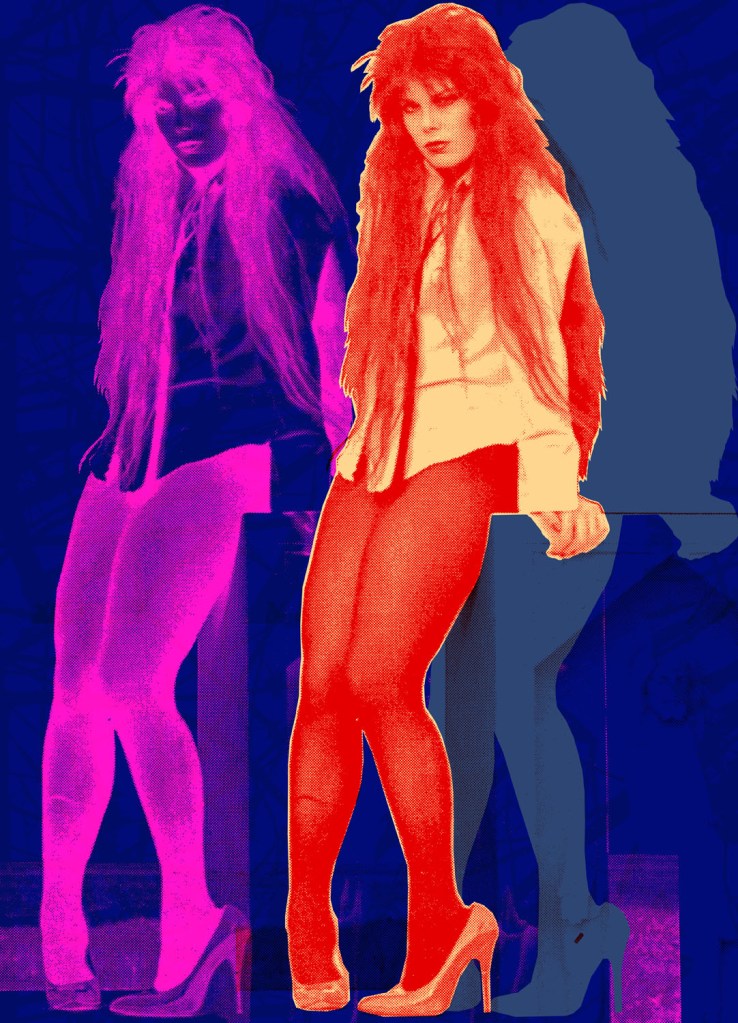 PatBag, silkscreen on wood panel. 40"x30"